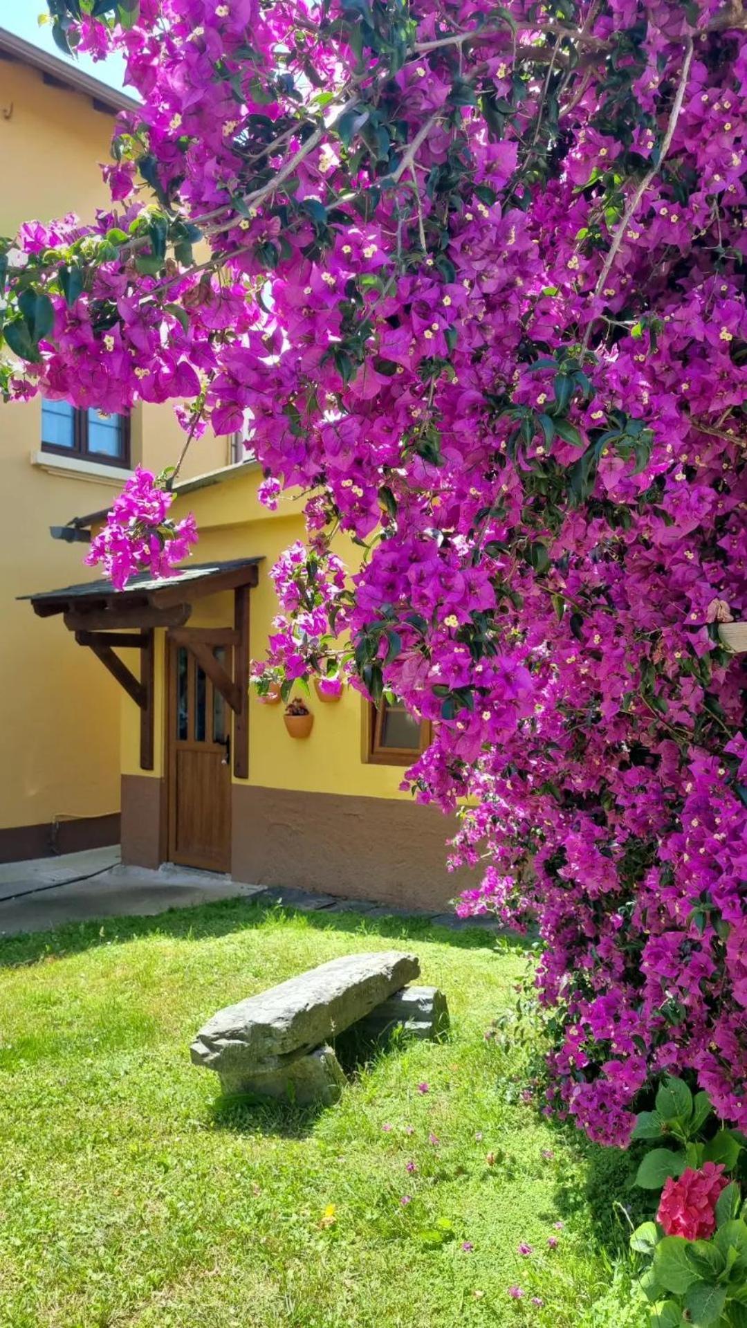 La Quintana De Figares Apartment Luarca Exterior photo